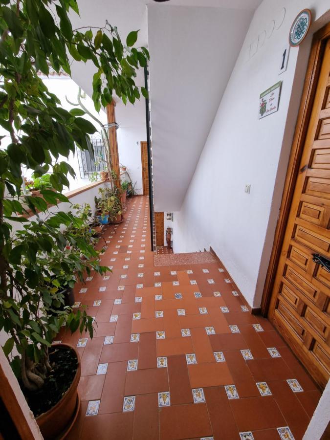 Appartement Patio Cordobés San Basilio à Cordoue Extérieur photo